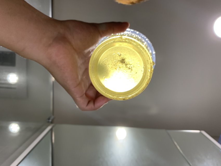 清洗水管, 水管清洗, 管乾淨